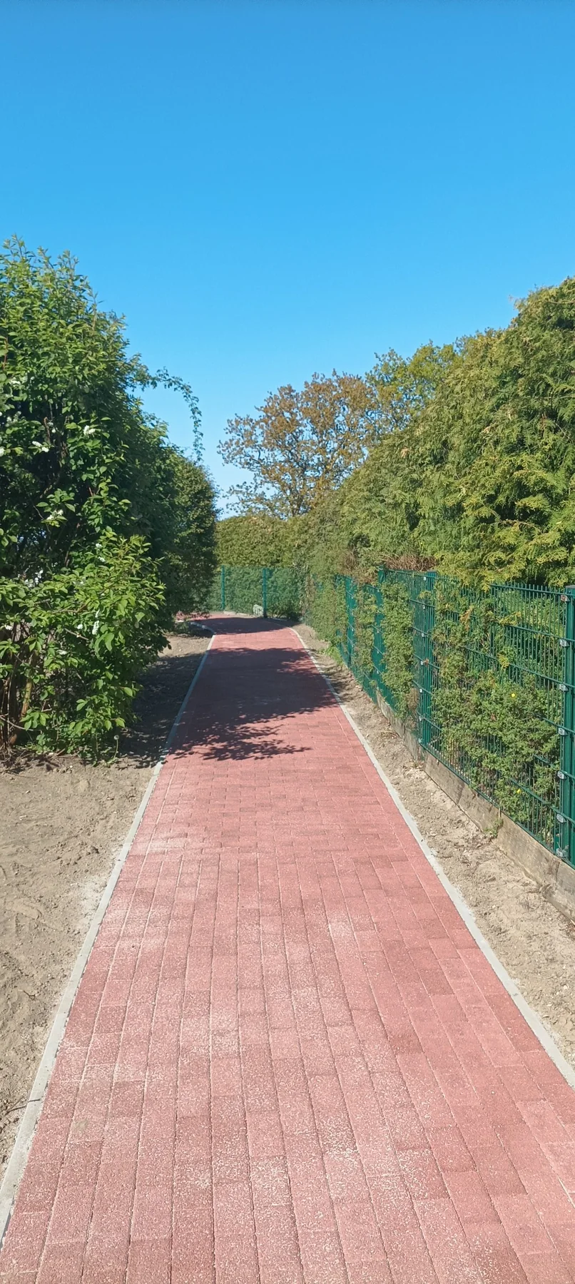 Radweg durch die grüne Landschaft
